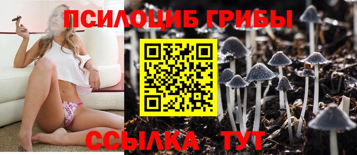 Галлюциногенные грибы Psilocybe Сунжа