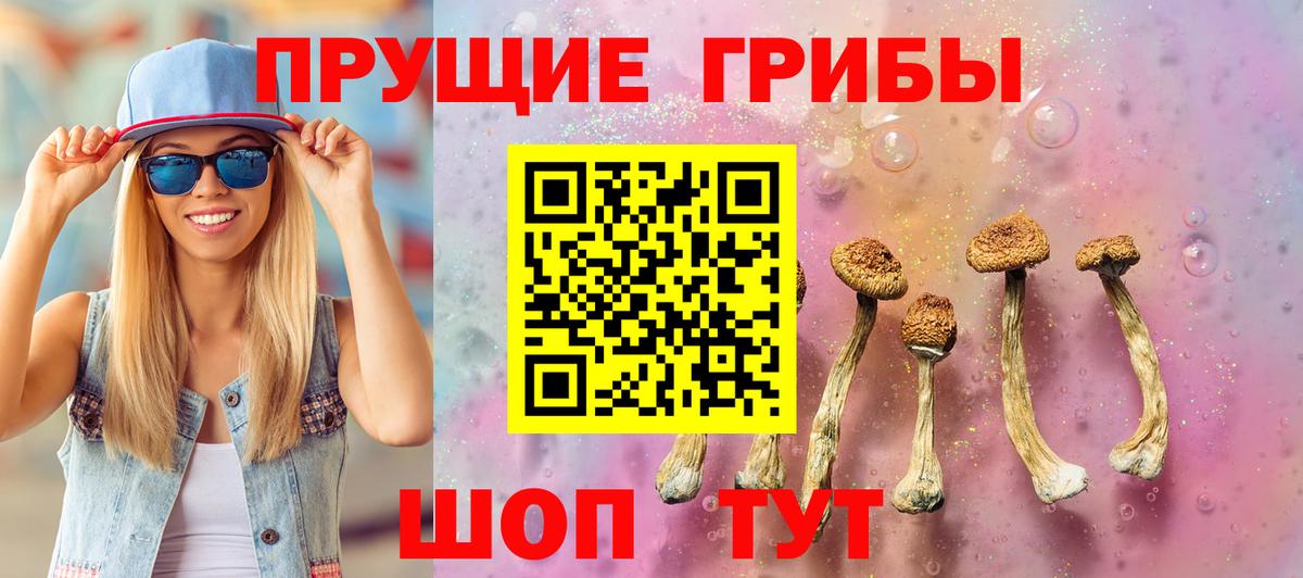 Сунжа  Псилоцибиновые грибы мухоморы  Псилоцибиновые грибы Psilocybine cubensis  Вход с VPN 