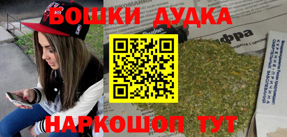 Сунжа  МАРИХУАНА план  Вход с VPN  Канабис Bruce Banner  Канабис OG Kush  Бошки Шишки THC 21% 